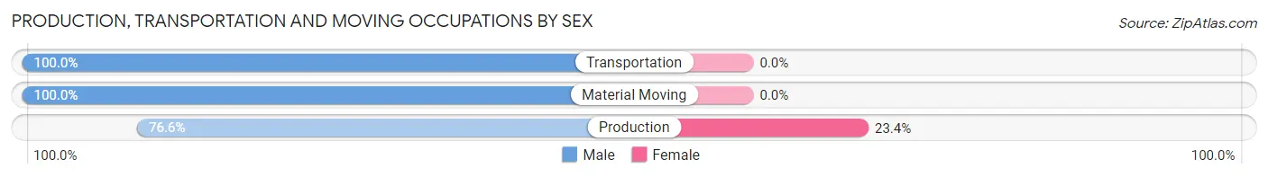 Production, Transportation and Moving Occupations by Sex in Irondale