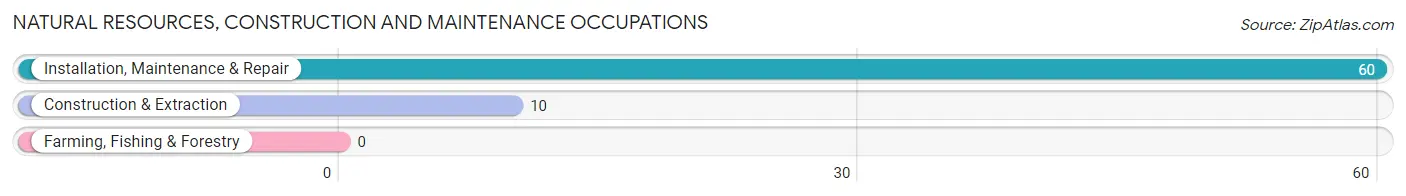 Natural Resources, Construction and Maintenance Occupations in Jackson