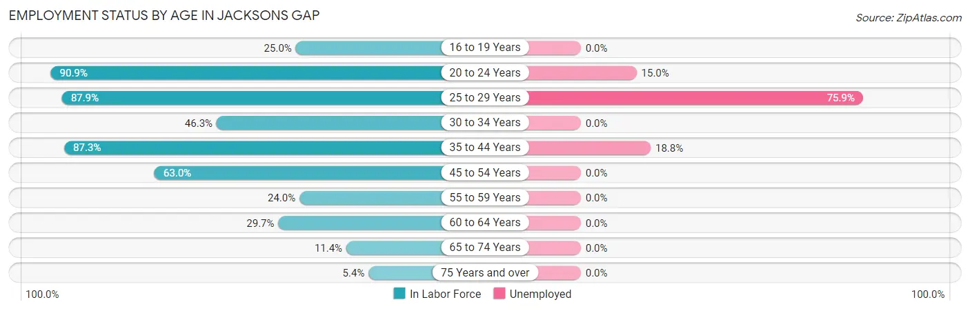 Employment Status by Age in Jacksons Gap