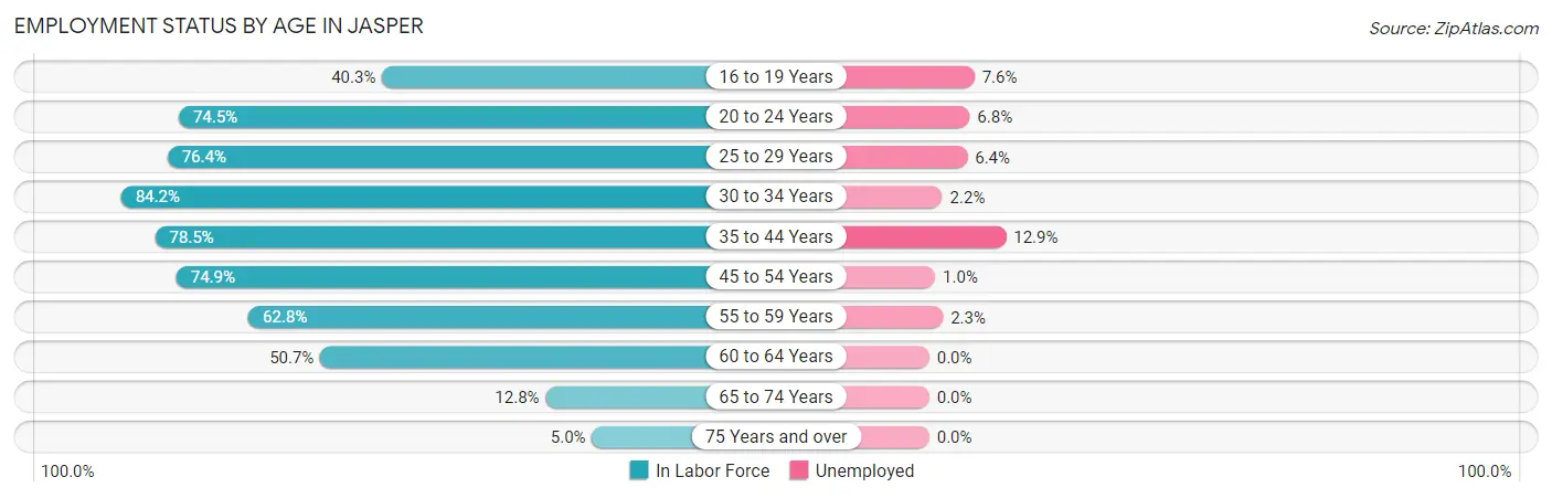 Employment Status by Age in Jasper