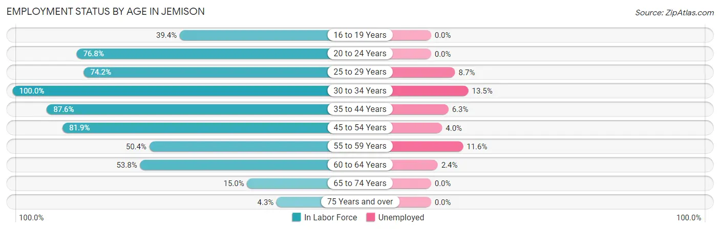 Employment Status by Age in Jemison