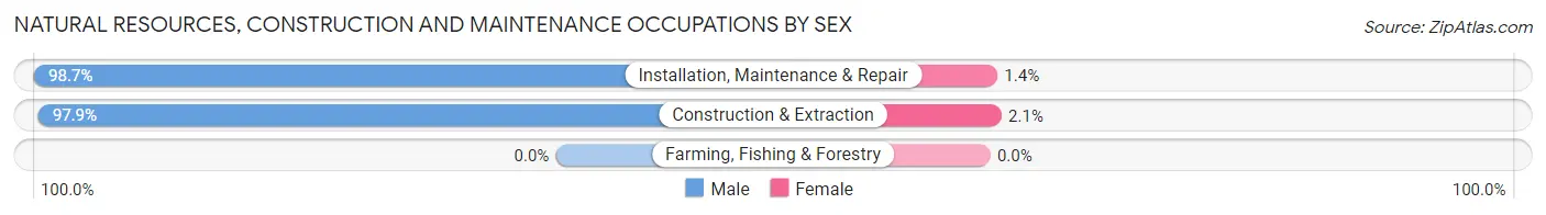Natural Resources, Construction and Maintenance Occupations by Sex in Kinsey