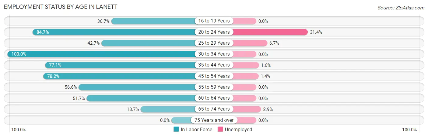 Employment Status by Age in Lanett