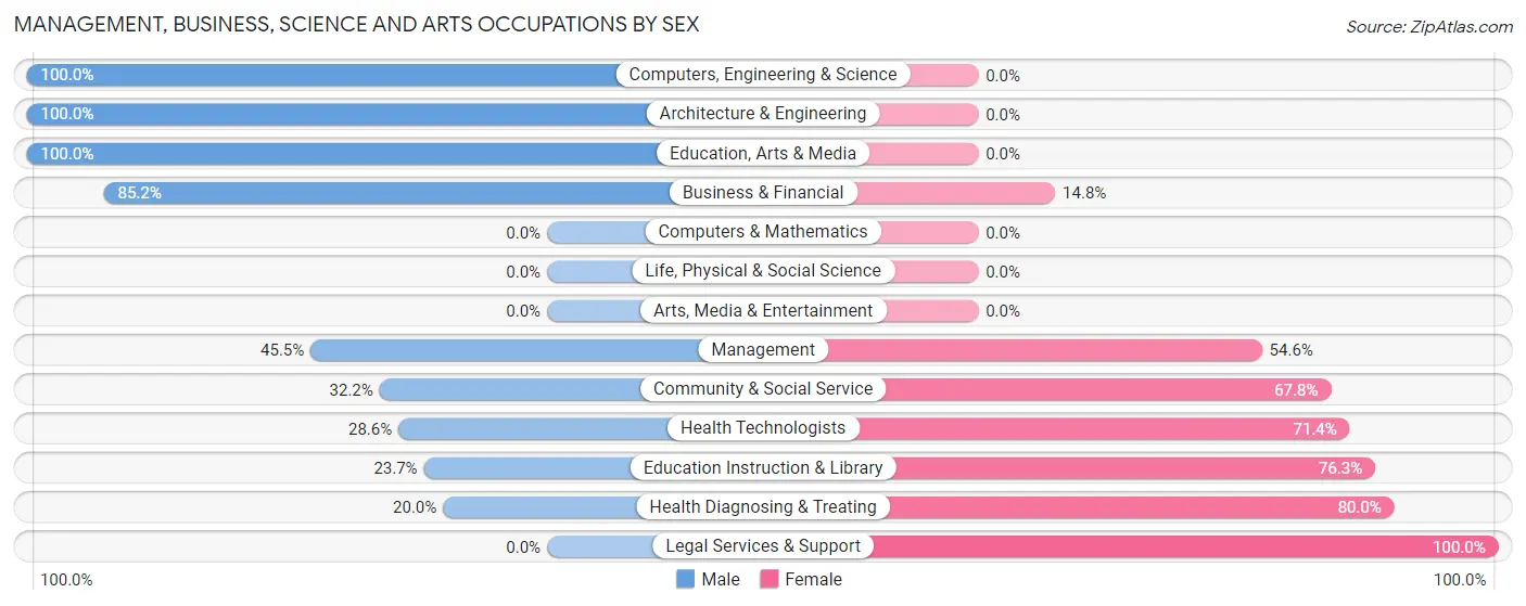 Management, Business, Science and Arts Occupations by Sex in Leesburg