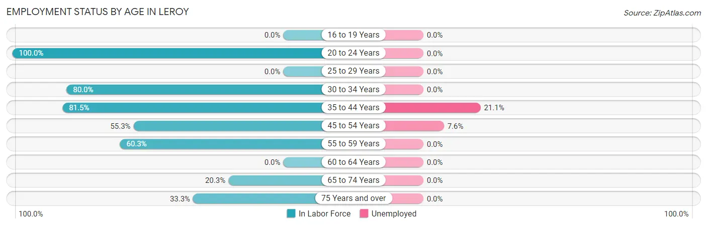 Employment Status by Age in Leroy