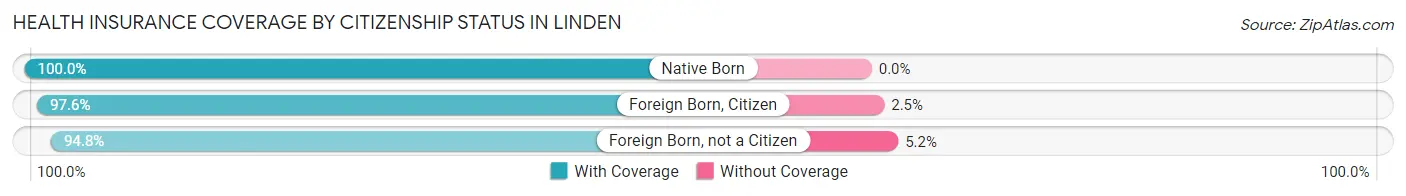 Health Insurance Coverage by Citizenship Status in Linden