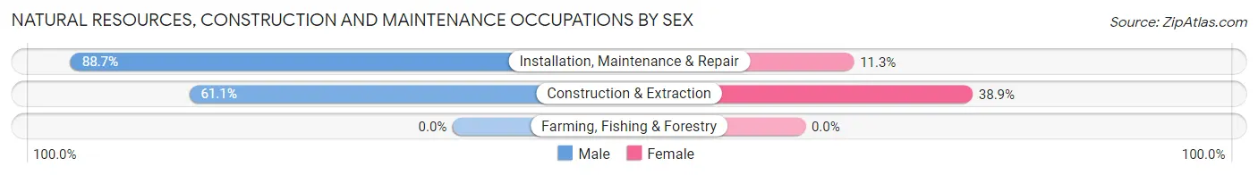 Natural Resources, Construction and Maintenance Occupations by Sex in Lineville