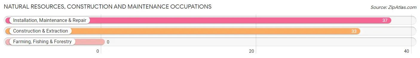 Natural Resources, Construction and Maintenance Occupations in Littleville