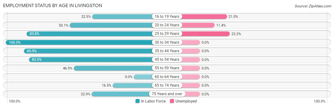 Employment Status by Age in Livingston