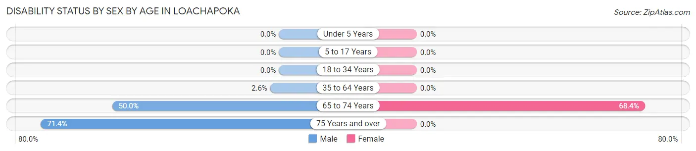 Disability Status by Sex by Age in Loachapoka