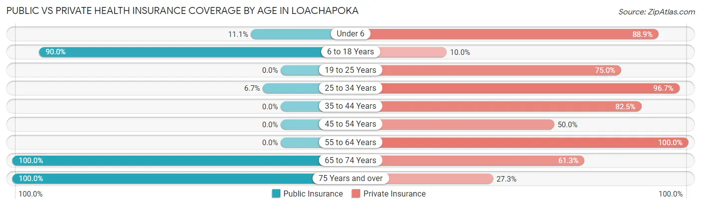 Public vs Private Health Insurance Coverage by Age in Loachapoka