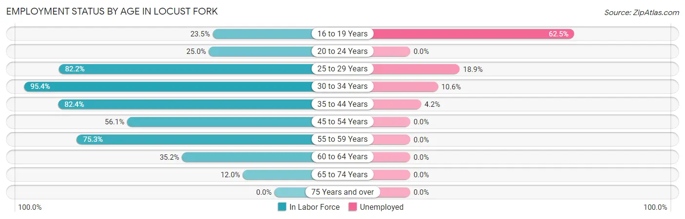 Employment Status by Age in Locust Fork