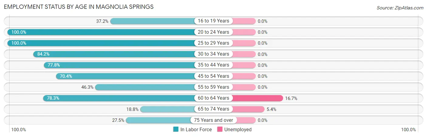 Employment Status by Age in Magnolia Springs