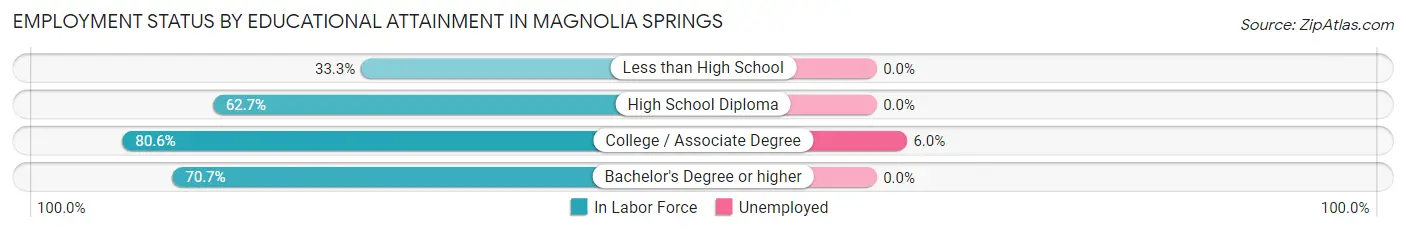 Employment Status by Educational Attainment in Magnolia Springs