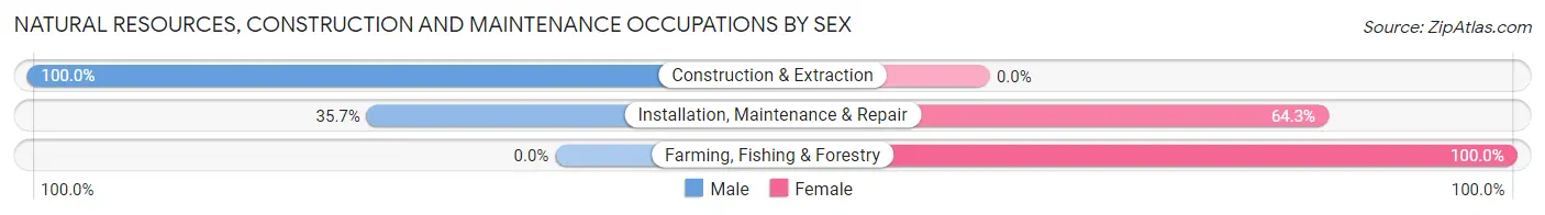 Natural Resources, Construction and Maintenance Occupations by Sex in Magnolia Springs