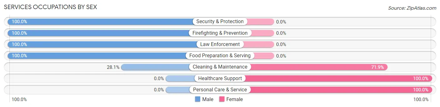 Services Occupations by Sex in Malvern