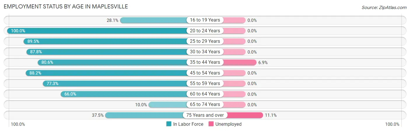 Employment Status by Age in Maplesville