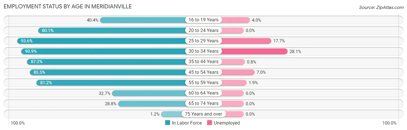 Employment Status by Age in Meridianville