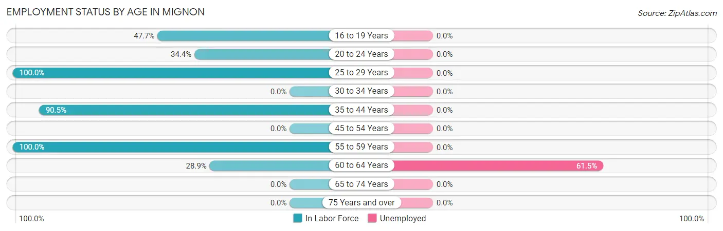 Employment Status by Age in Mignon