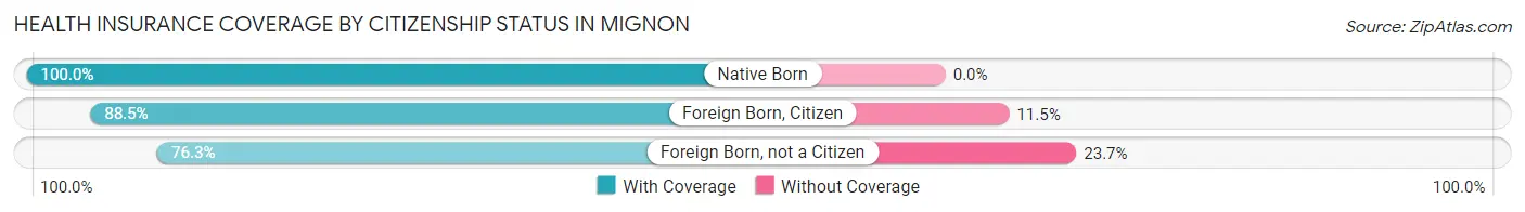 Health Insurance Coverage by Citizenship Status in Mignon