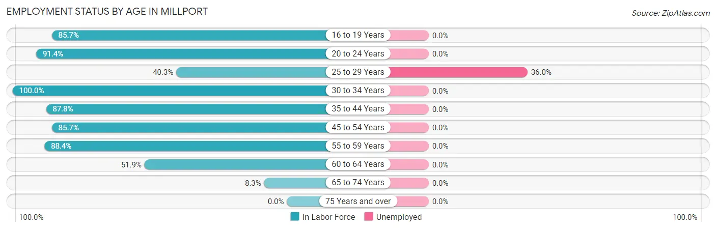Employment Status by Age in Millport