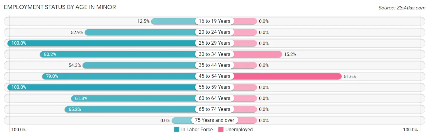 Employment Status by Age in Minor
