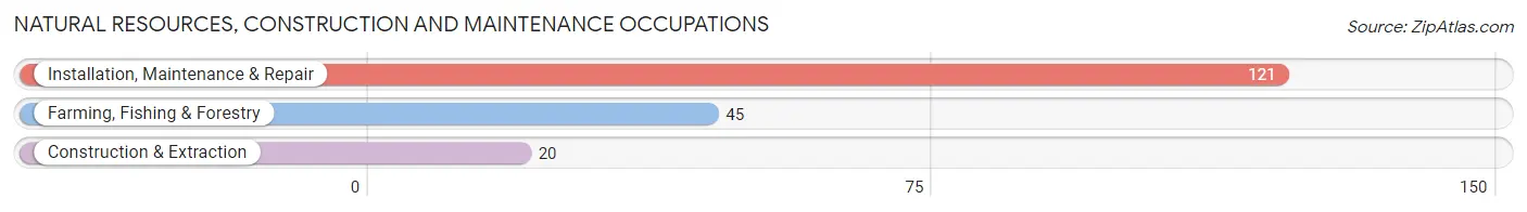 Natural Resources, Construction and Maintenance Occupations in Monroeville