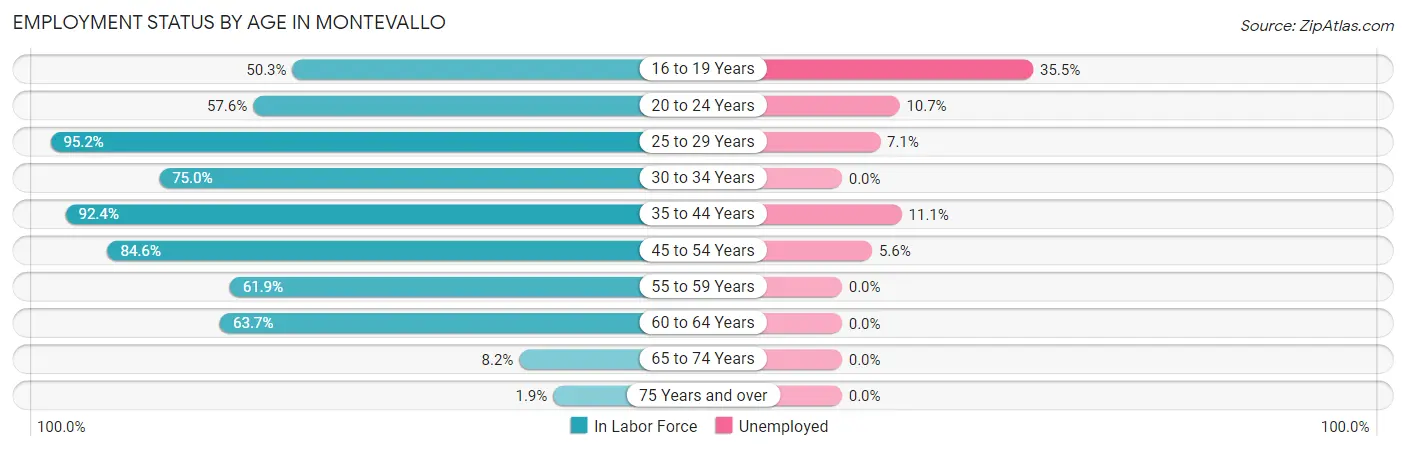 Employment Status by Age in Montevallo
