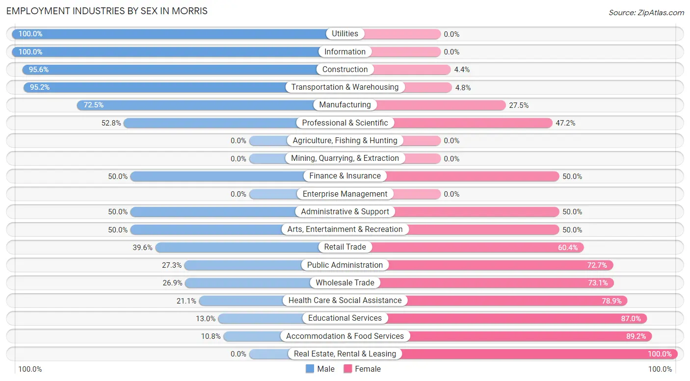 Employment Industries by Sex in Morris