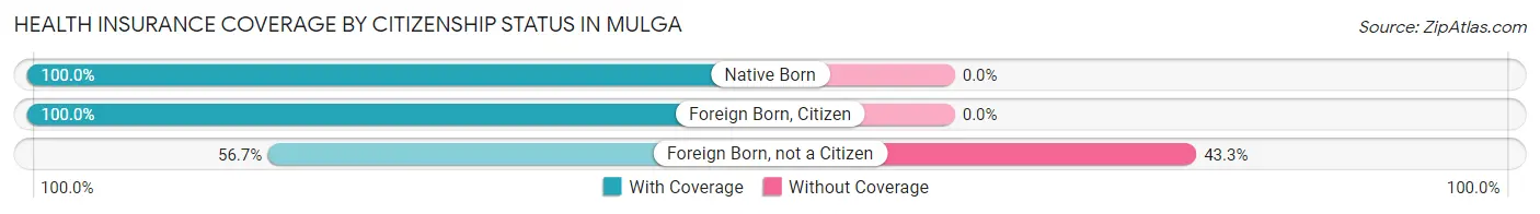 Health Insurance Coverage by Citizenship Status in Mulga