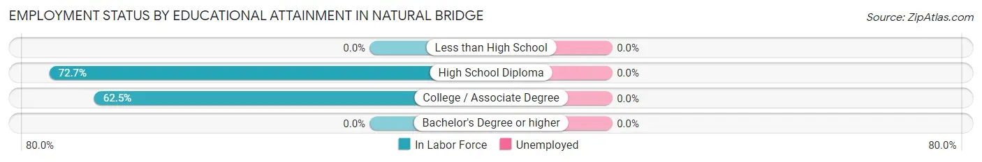 Employment Status by Educational Attainment in Natural Bridge