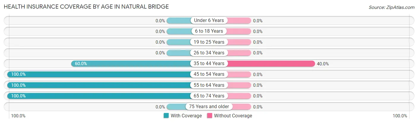 Health Insurance Coverage by Age in Natural Bridge