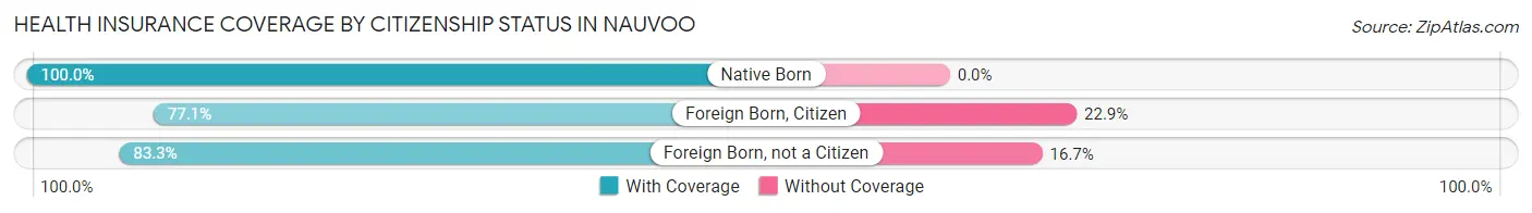 Health Insurance Coverage by Citizenship Status in Nauvoo