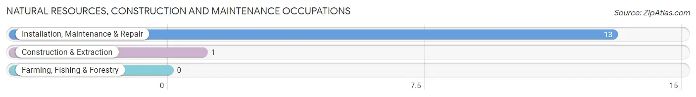 Natural Resources, Construction and Maintenance Occupations in Needham