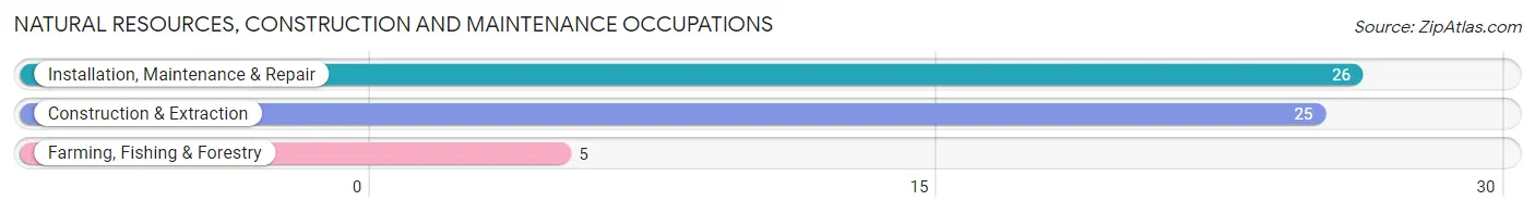 Natural Resources, Construction and Maintenance Occupations in New Brockton