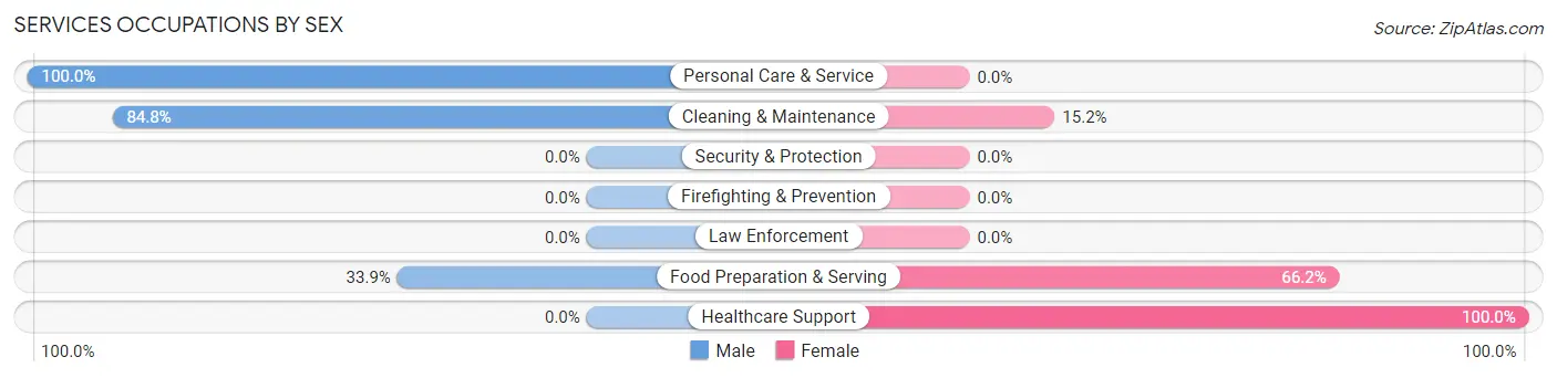 Services Occupations by Sex in New Brockton