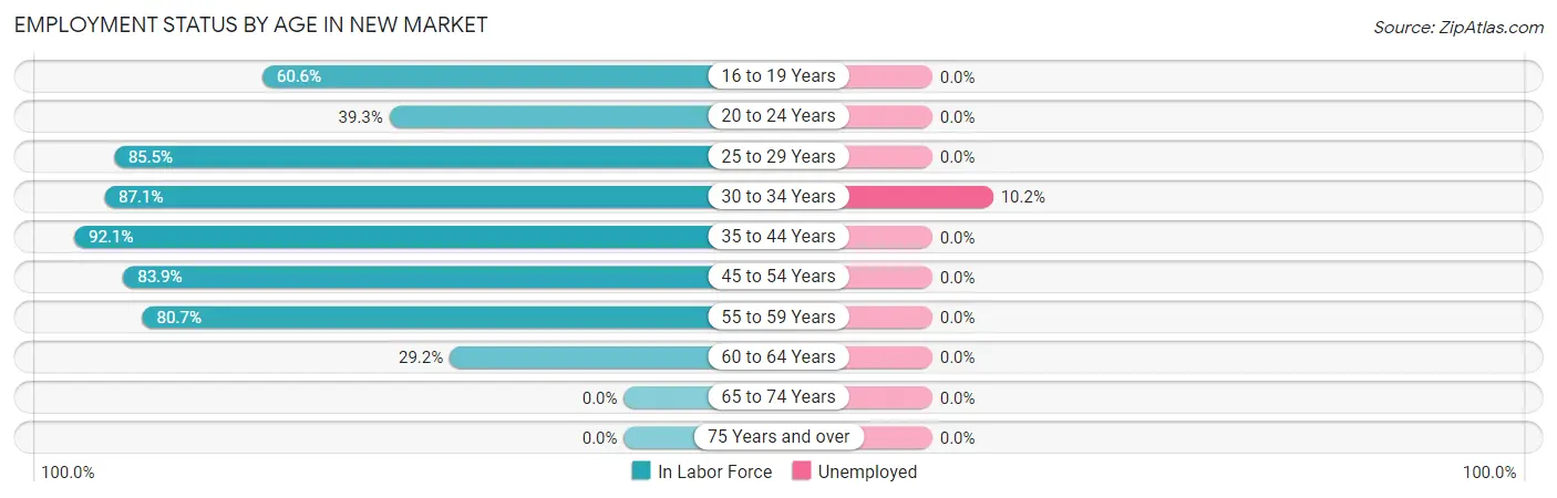 Employment Status by Age in New Market