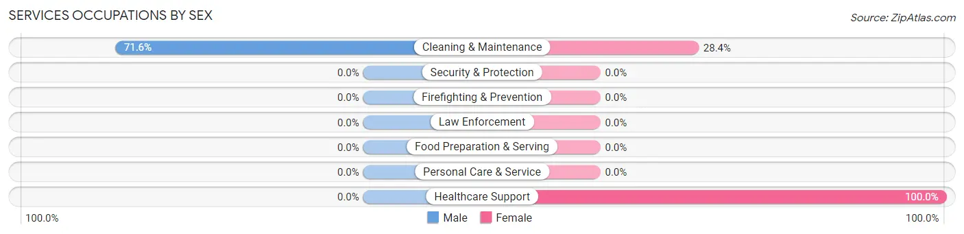 Services Occupations by Sex in New Market