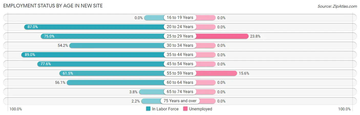 Employment Status by Age in New Site