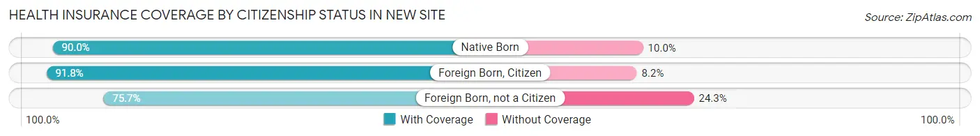 Health Insurance Coverage by Citizenship Status in New Site