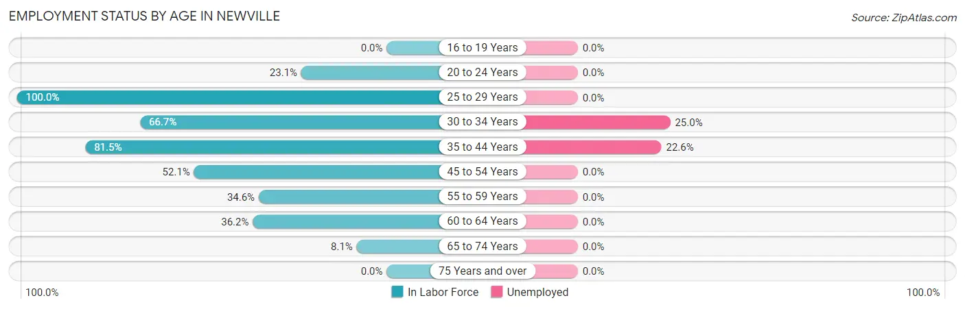 Employment Status by Age in Newville