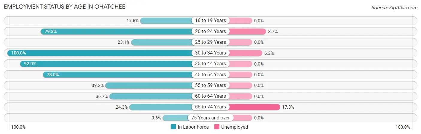 Employment Status by Age in Ohatchee