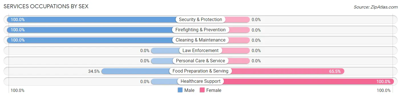 Services Occupations by Sex in Oneonta