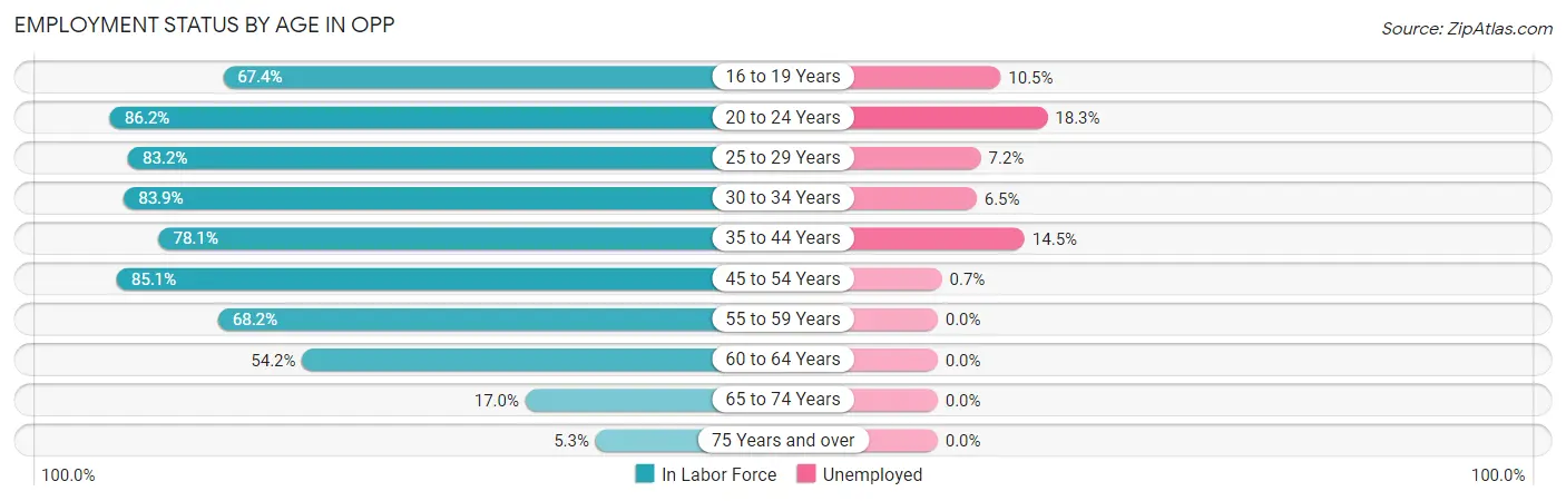 Employment Status by Age in Opp