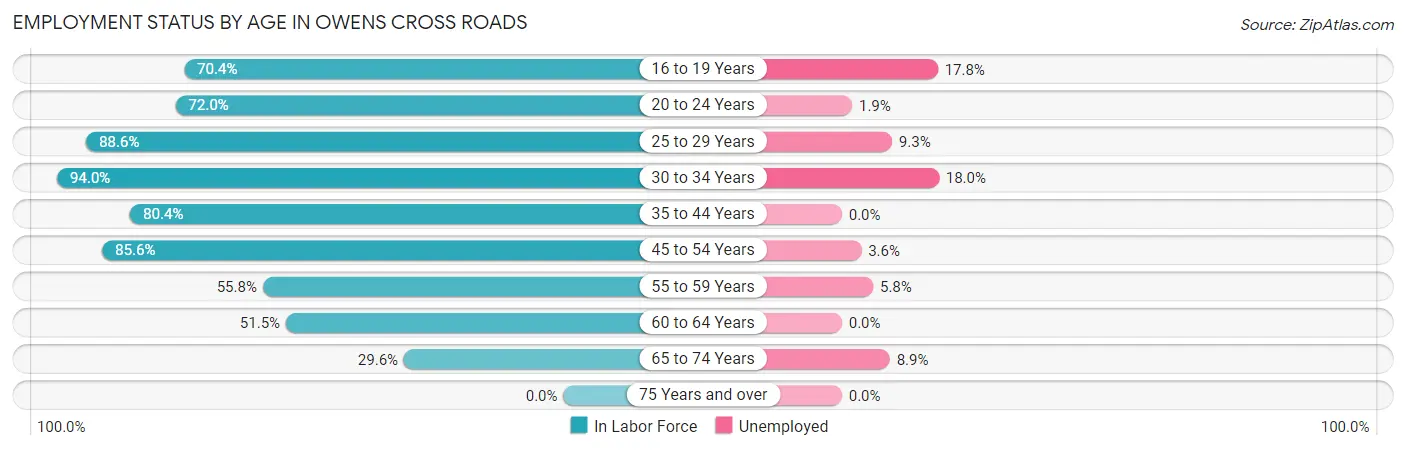 Employment Status by Age in Owens Cross Roads
