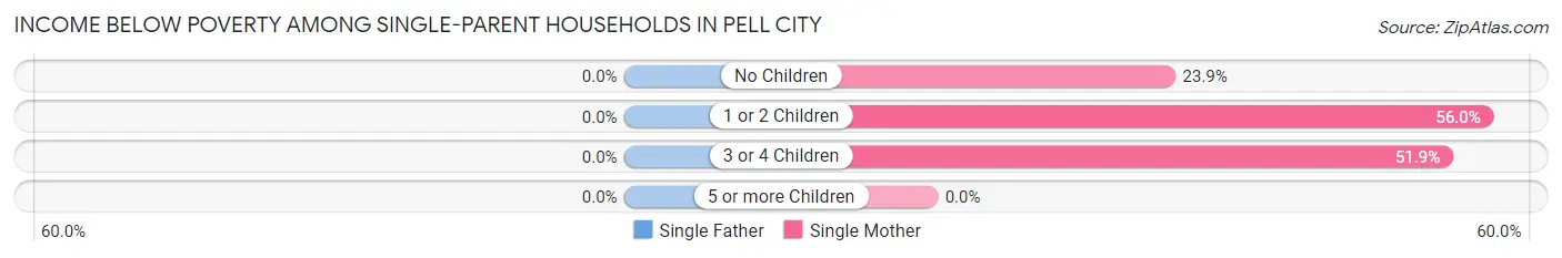 Income Below Poverty Among Single-Parent Households in Pell City