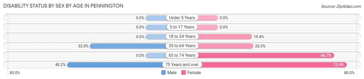 Disability Status by Sex by Age in Pennington