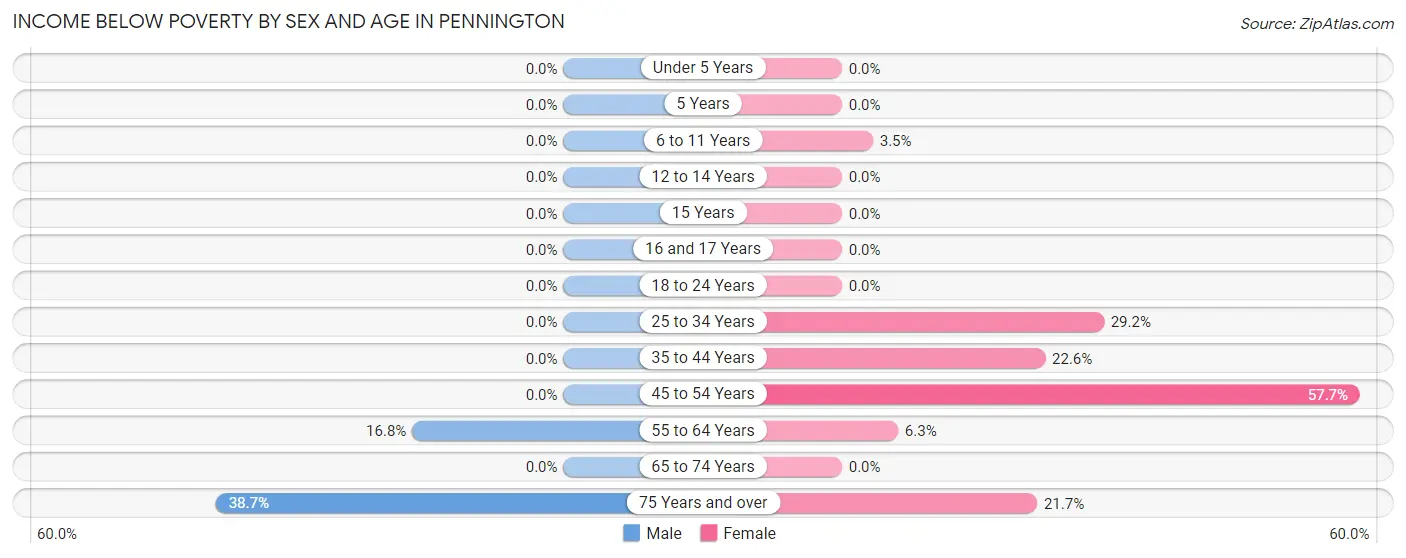 Income Below Poverty by Sex and Age in Pennington