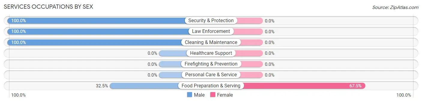 Services Occupations by Sex in Perdido