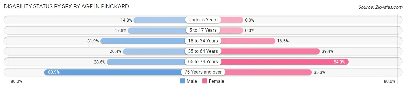 Disability Status by Sex by Age in Pinckard